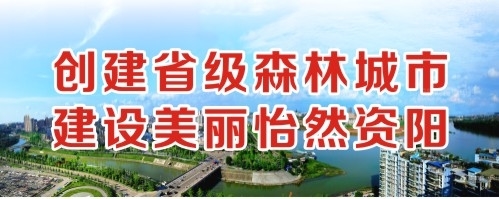 黑丝美女被艹高潮创建省级森林城市 建设美丽怡然资阳