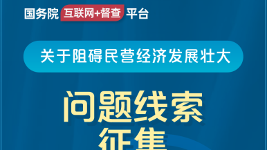 91jk黑丝国务院“互联网+督查”平台公开征集阻碍民营经济发展壮大问题线索